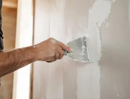 Plaster Repair